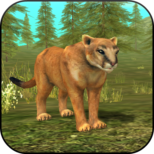 Wild Cougar Sim 3D APK MOD ressources Illimites Astuce