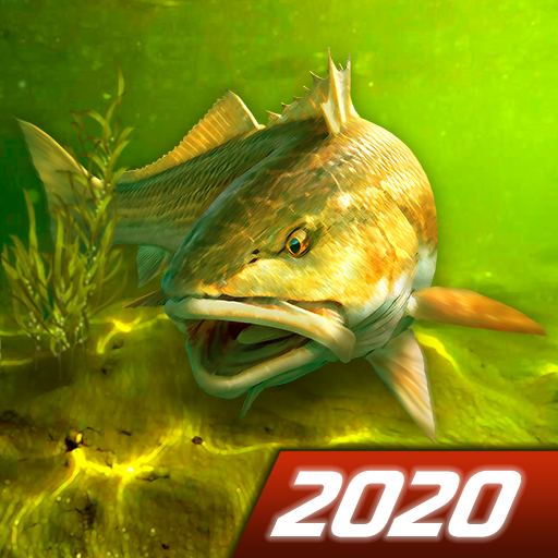 My Fishing World – Vraie pche APK MOD Pices Illimites Astuce